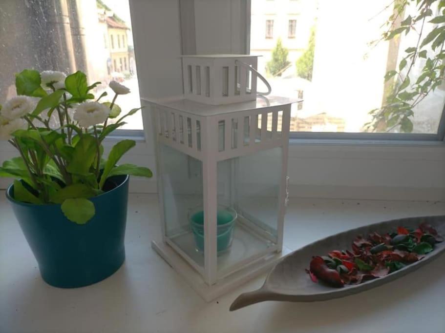 קרקוב Bright Josefa Apartments For Two מראה חיצוני תמונה